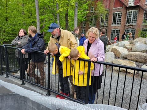 several people look over a railing down into a fishway