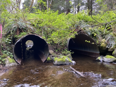 Anton Creek barrier crossing