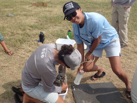 Jiny Kim, wearing a light blue shirt and black hat, and Megan Dalton, wearing a grey shirt and hat, feed an albatross.