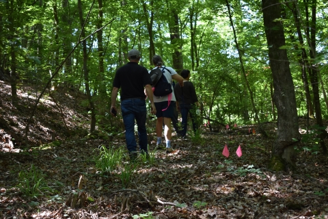 people walking through a forest