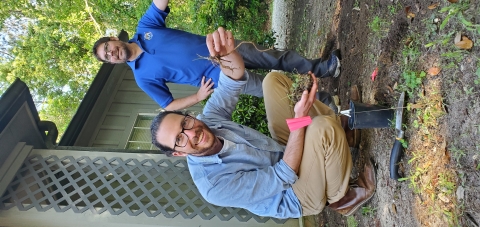 Evan Collins and Drew Rollman look for existing plants to save before soil is prepped.