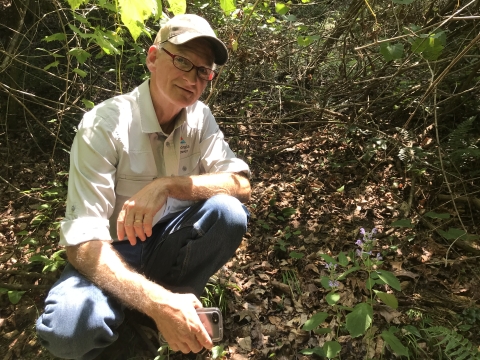 a man kneeling in the woods next to a plant