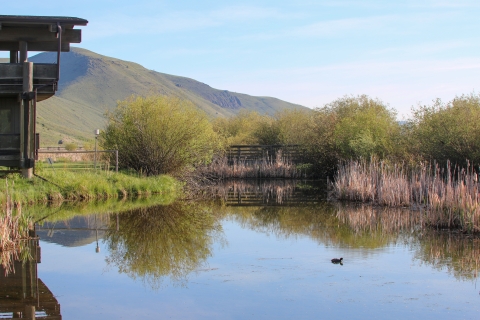 An overlook near a pond.