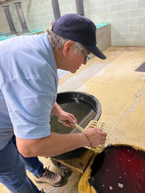 volunteer processing trout eggs 