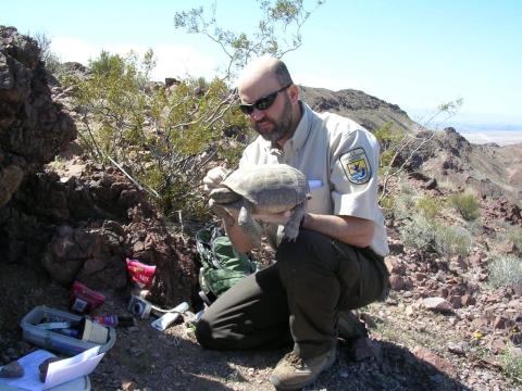 Man on one knee holding a desert tortoise