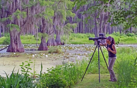 Shown is Tara Tanaka is a photographer and videographer who documents the wildlife attracted to their sanctuary throughout the year. 