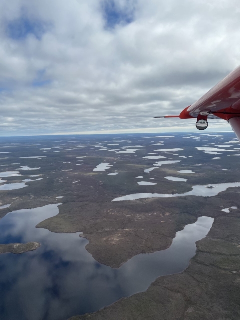 aerial view of wetlands with the tip of the airplane wing 