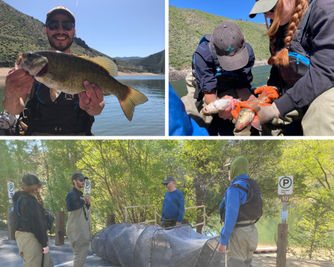 Collage photo with a man holding a fish, two biologists measuring fish, and 4 people inspecting a fishing net.