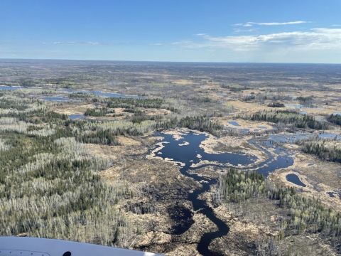 Aerial view of wetlands and forests