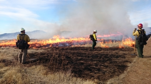 3 firefighters watch fire in field