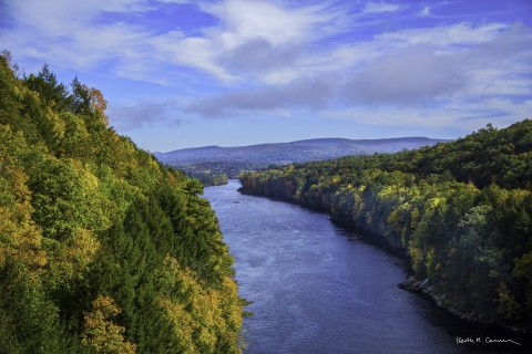 River flowing between forests with hills in background