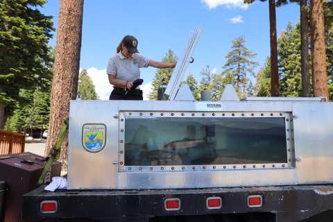 A woman holds a monitoring device up to a tank that holds medium sized fish