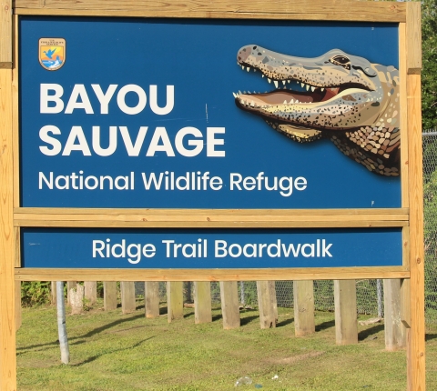 A trailhead sign with an image of an alligator's head