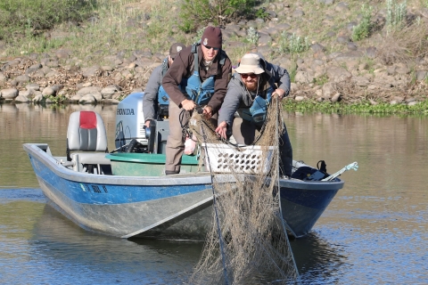 Two men on a boat in a river unravel a net into the water