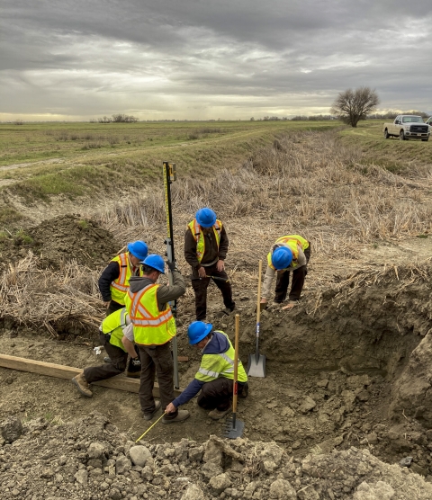 a group of people working in the dirt