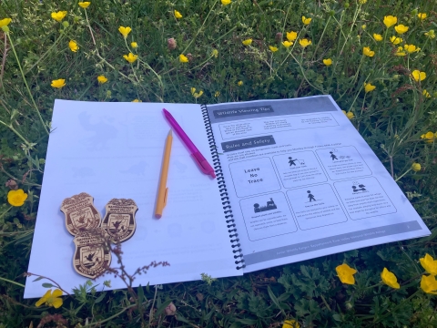 Junior Ranger booklet open to Wildlife Viewing Tips page. Three wooden junior ranger badges and two pens sit on the adjacent page.