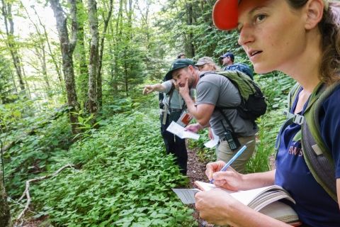 Group of people standing on a trail in a forest looking at something in the forest