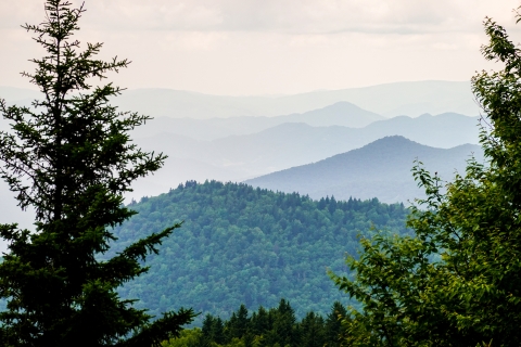 View of rolling mountains framed by trees in the foreground on either side