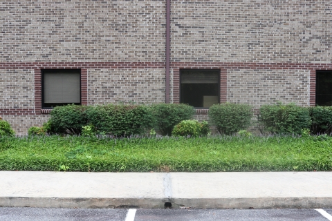 Brick building with landscaping in front