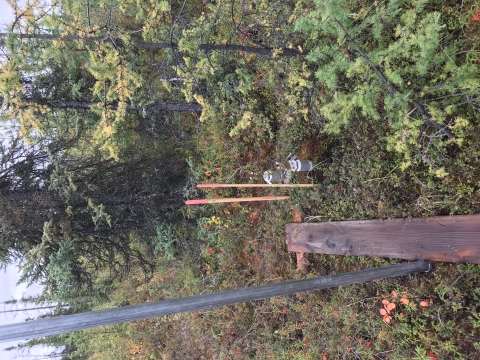 Long Term Ecological Research site outside Fairbanks, Alaska measuring how soil respiration in relation to changing temperatures. 