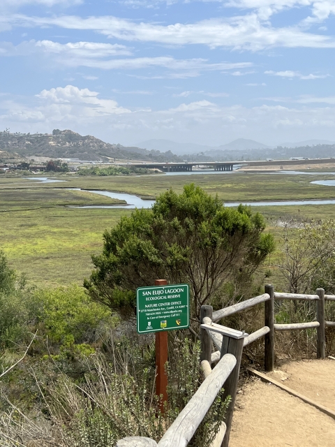 landscape of wetlands with channels running through and a highway bridge in background