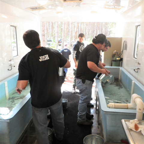 Several people are standing over tanks full of water and fish, preparing the fish to be released into a river