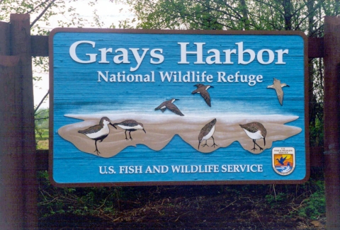 Carved and painted wooden sign with shorebirds pecking on sand and flying.