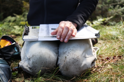 Person sitting in the grass, clip board and data sheet on their lap