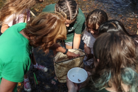 Six people gathered around a small net