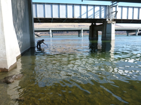 A U.S. Fish and Wildlife Service fish biologist collects an eDNA sample from Oregon's Deschutes River