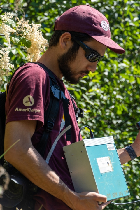 Service intern, Eric Klingberg, checking a radio telemetry receiver for tagged fish along the Elwha River