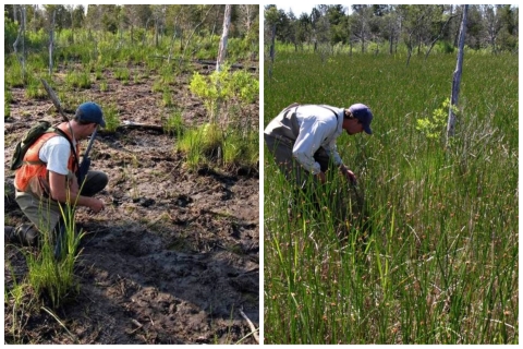 side by side photos show a man kneeling in a muddy, depleted landscape, next to a picture of a man kneeling in a lushly vegetated green landscape