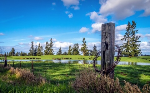 Working lands near Rainier, Washington, producing livestock, forest products, wildlife habitat, and outdoor recreation. 