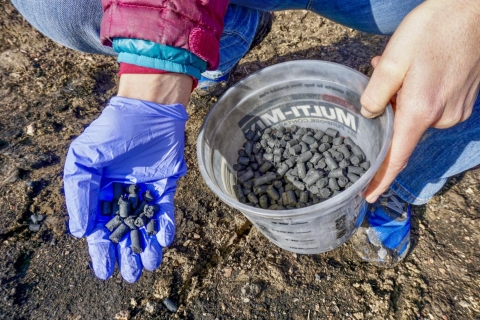 A hand holding black pods filled with seeds. 