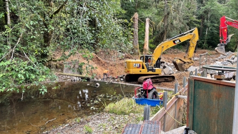 Klaskanine Fish Hatchery Dam #3 under removal and restoration