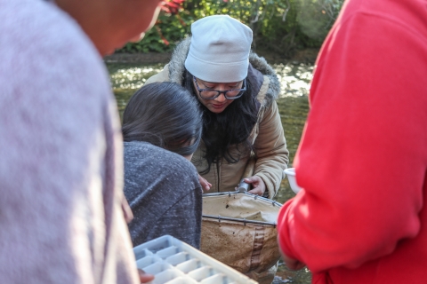 Biologist and a student look into a small kick net