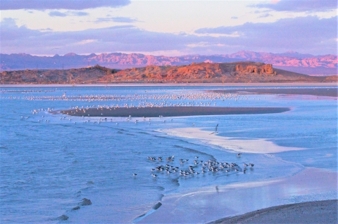 Sunset over Redhill Bay circa 2015