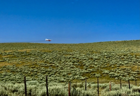 Low flying airplane over sagebrush field releases dark cloud of spray behind it 