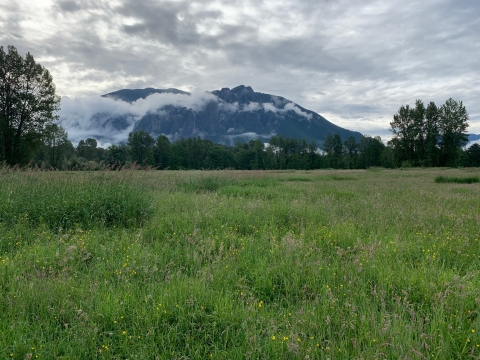 A landscape picture of Mt. Si in western Washington