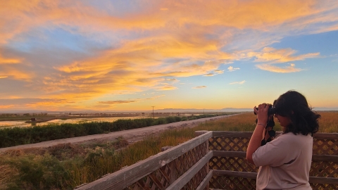 Biologist preforming a evening roost sandhill crane survey.