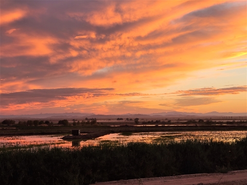 Sunset at the Hardenberger Trail. Pond with a trail leading to a photo blind to its center. 