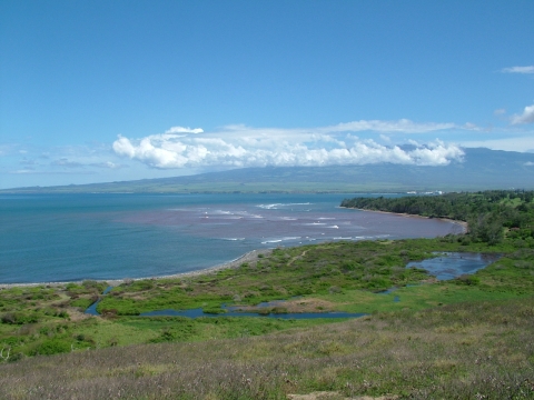 Waihee, Island of Maui, Hawaii