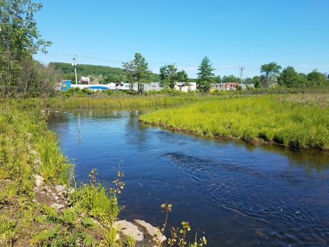 a river winds around a green bend, against the backdrop of a strip mall