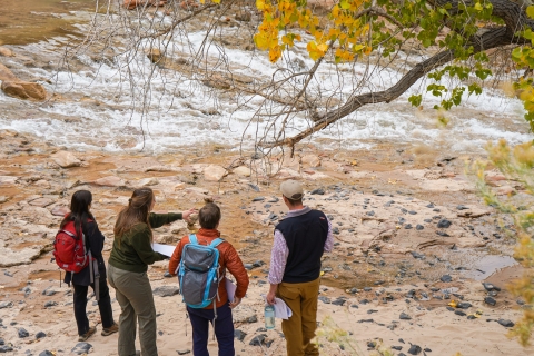 seen from behind, standing on a river bank, a woman and 2 men stand next to a woman pointing at a running river 