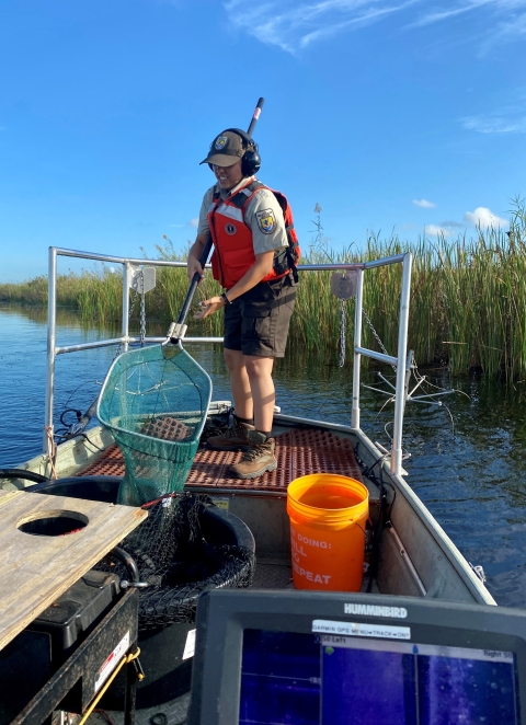 Fish Collecting at Artur R. Marshall Loxahatchee National Wildlife Refuge 