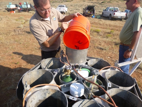 Biologist empties a bucket of fish into a small compartment