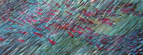 painting of sockeye salmon from overhead