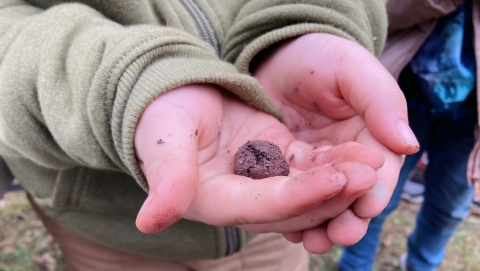 Planting seedballs at the Midwest Fisheries Center in Wisconsin