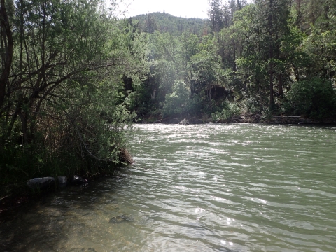 river and trees on either side