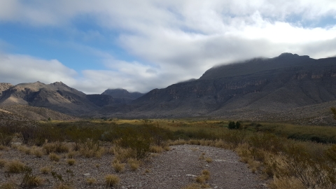 West Texas landscape